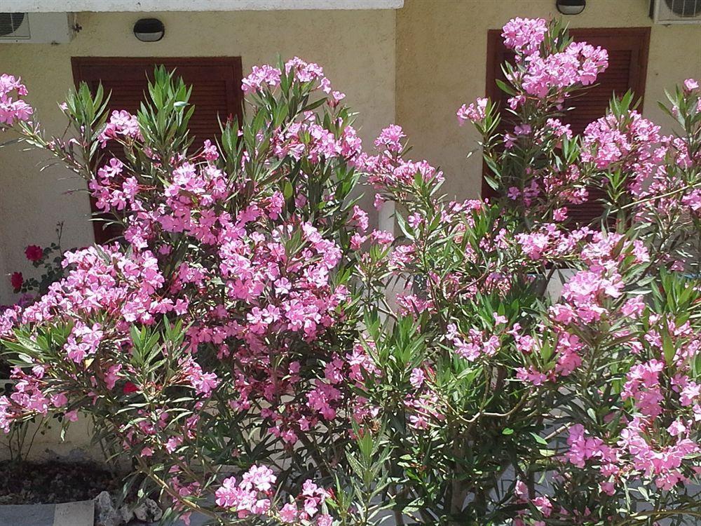 Amaril Apartment Platanes  Luaran gambar